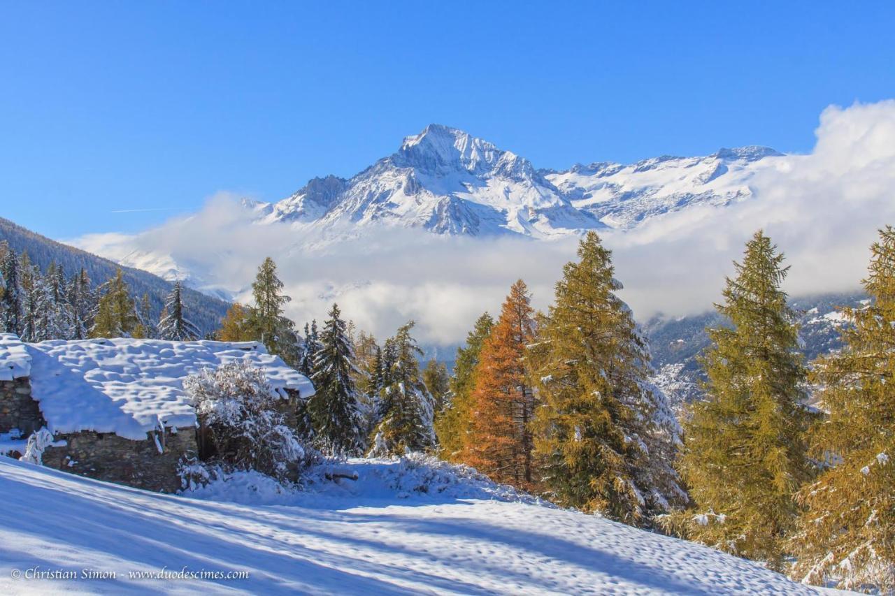 Les Balcons Proche Parc National Vanoise Appartements 2 Pieces 6 Pers Cabine Терміньон Екстер'єр фото